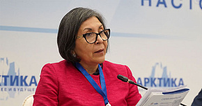 Мария Луиса Рамос Урсагасте: Предотвращение конфликтов в Арктике имеет большое значение