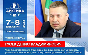 Сенатор Денис Гусев станет модератором сессии по вопросам авиасообщения