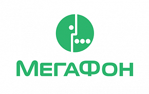 Партнер форума «МегаФон» представит проект строительства арктической линии связи